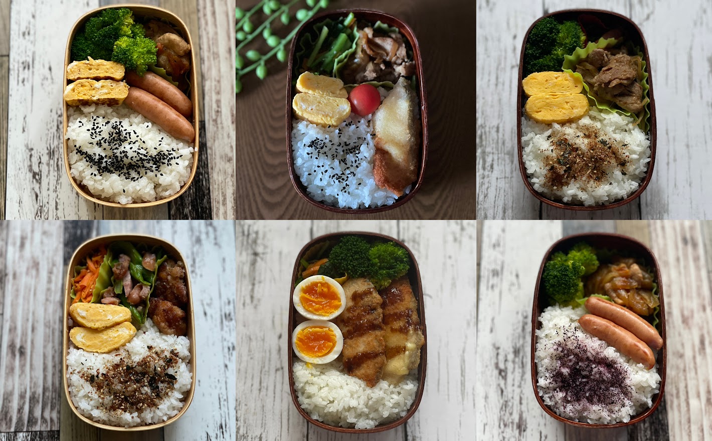 夏のお弁当