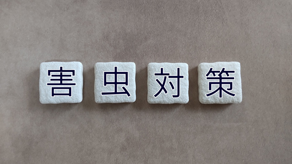 ゴキブリを呼び寄せない！「夏にやりがちなNG習慣」と元家政婦が教える徹底対策