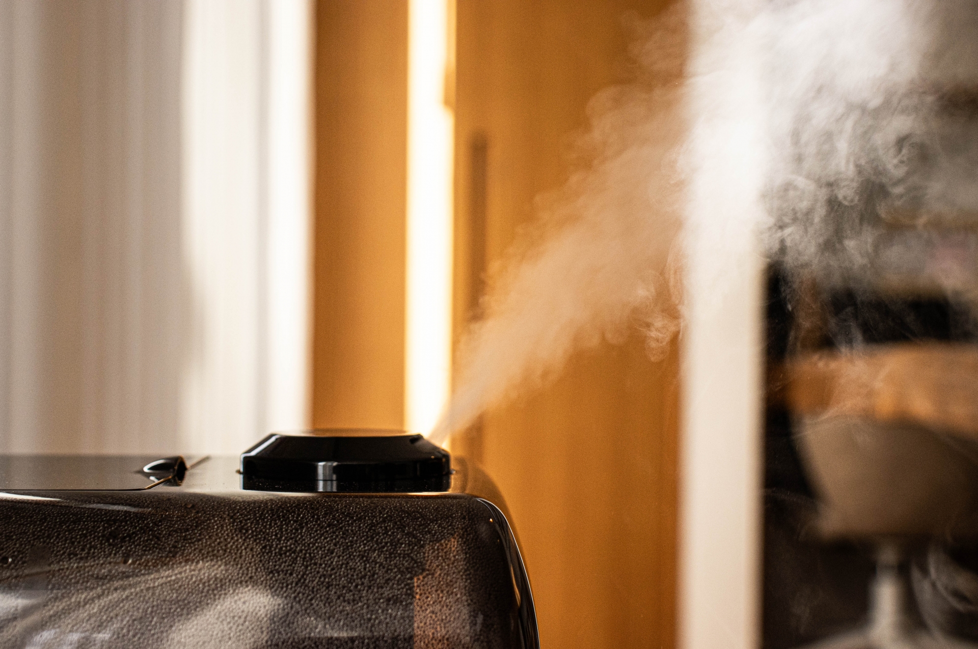 プロ主婦が教える！加湿器のお手入れ完全ガイド｜種類別の正しい掃除としまい方＆おすすめスチーム式