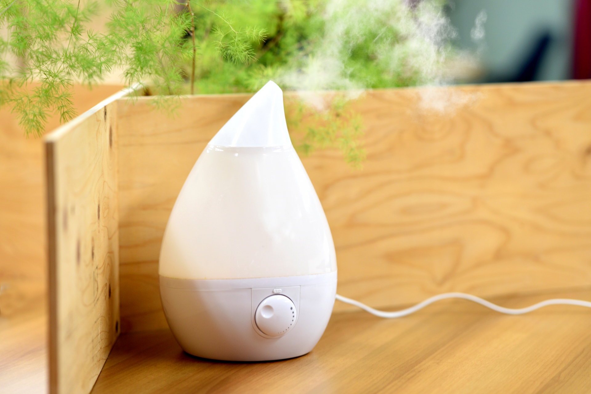 加湿器のNGな使い方3選。水道水でも大丈夫？フィルター交換しないと危険？